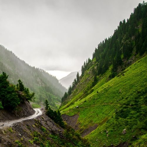 listing-details-carousel