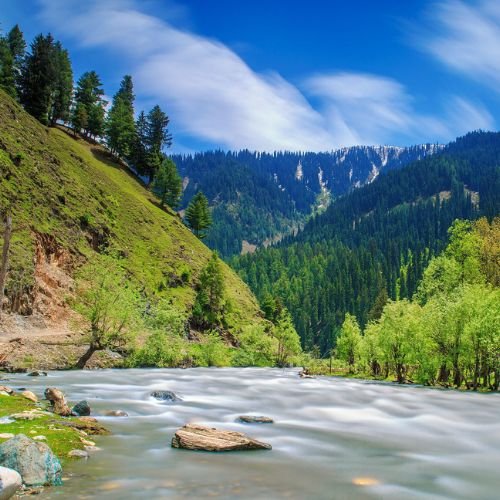 listing-details-carousel